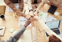 resilient business models development