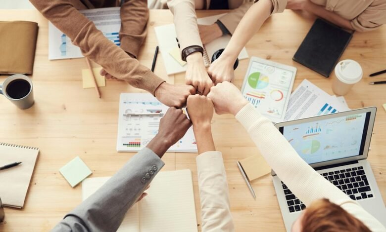 resilient business models development