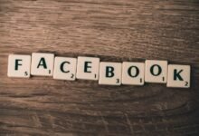 professional web service details