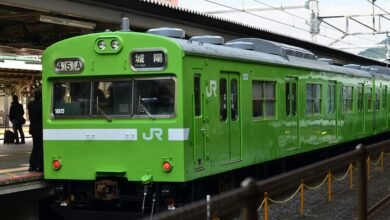 reliable online platform guide